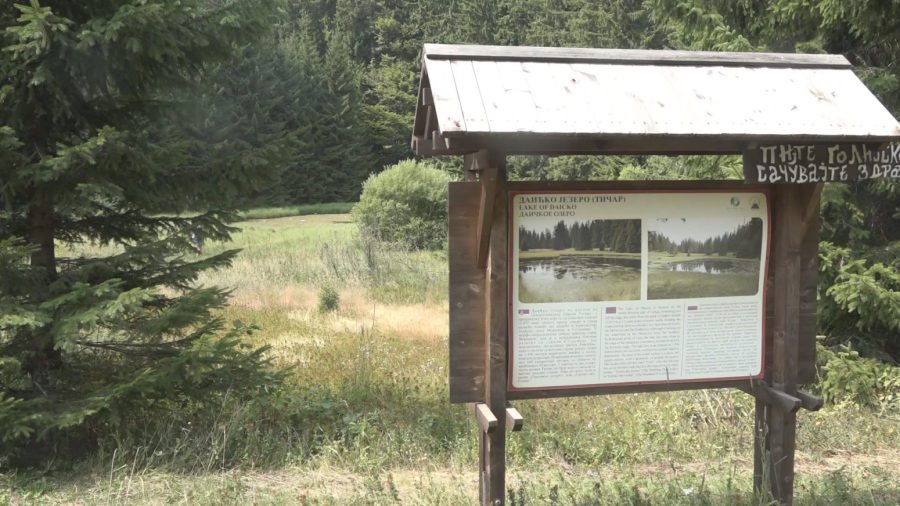 Ova nepravedno zapostavljena planina u Srbiji je pravo blago: Ima specifičnu klimu i bujne šume FOTO