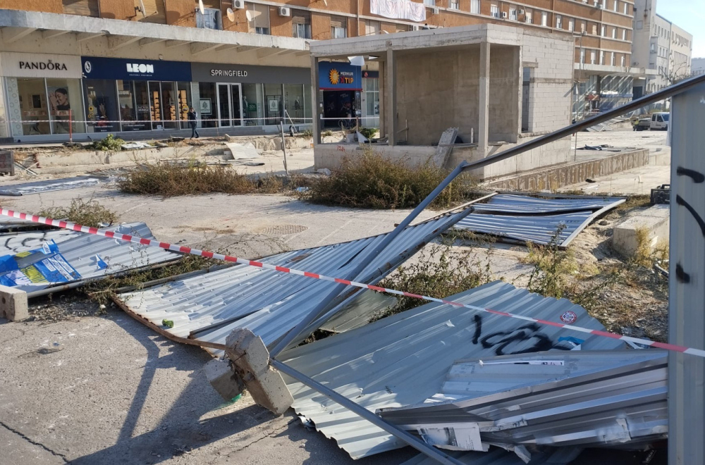 Profesorka demantovala Ponoša: "Policija je bila suzdržana" VIDEO