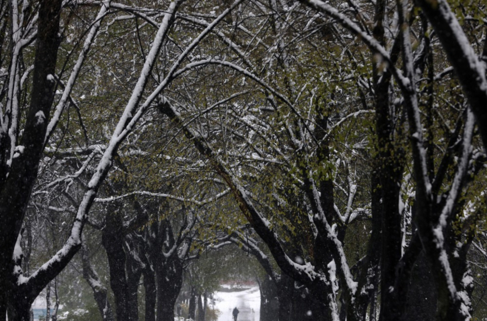 Snow in Belgrade: Get ready, it's coming