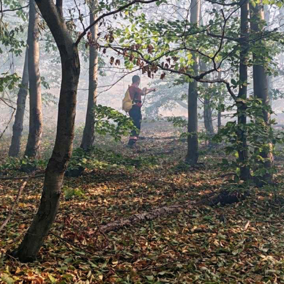 Pokušaj ubistva u šumi: Muškarac sekirom udario žrtvu