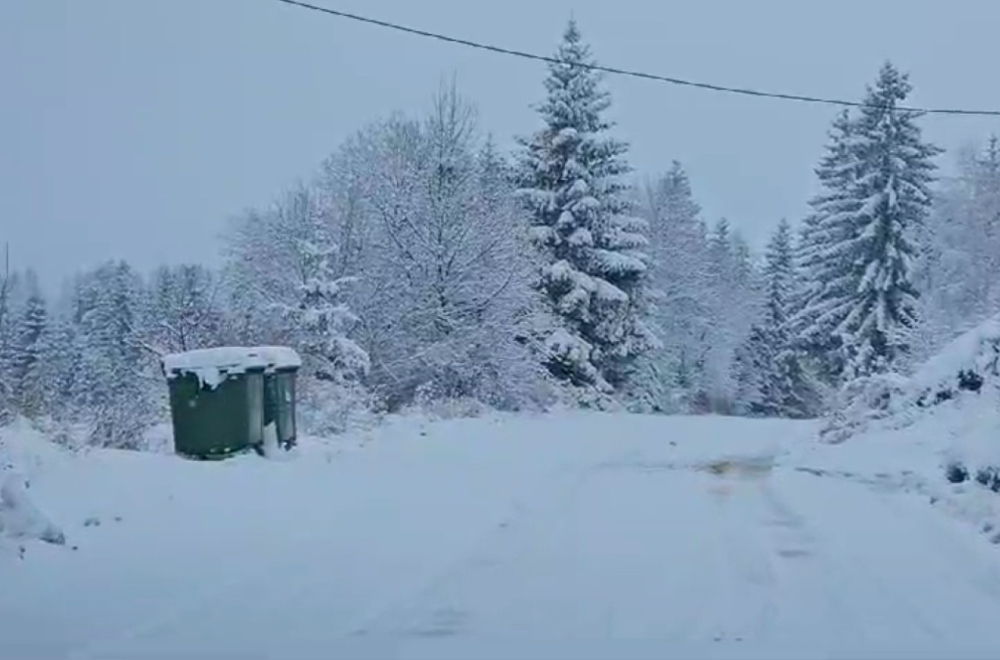 Srbija zavejana: Napadalo i metar snega, putevi zatrpani FOTO/VIDEO