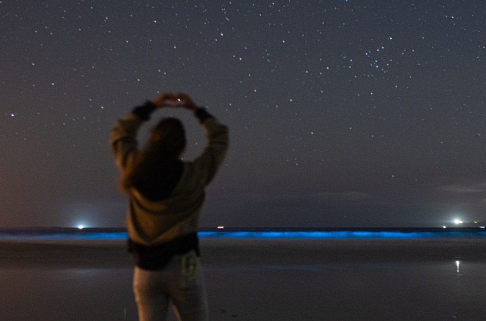 Vratile su se "noctiluca scintillans": Zbog njih more izgleda kao bajka VIDEO