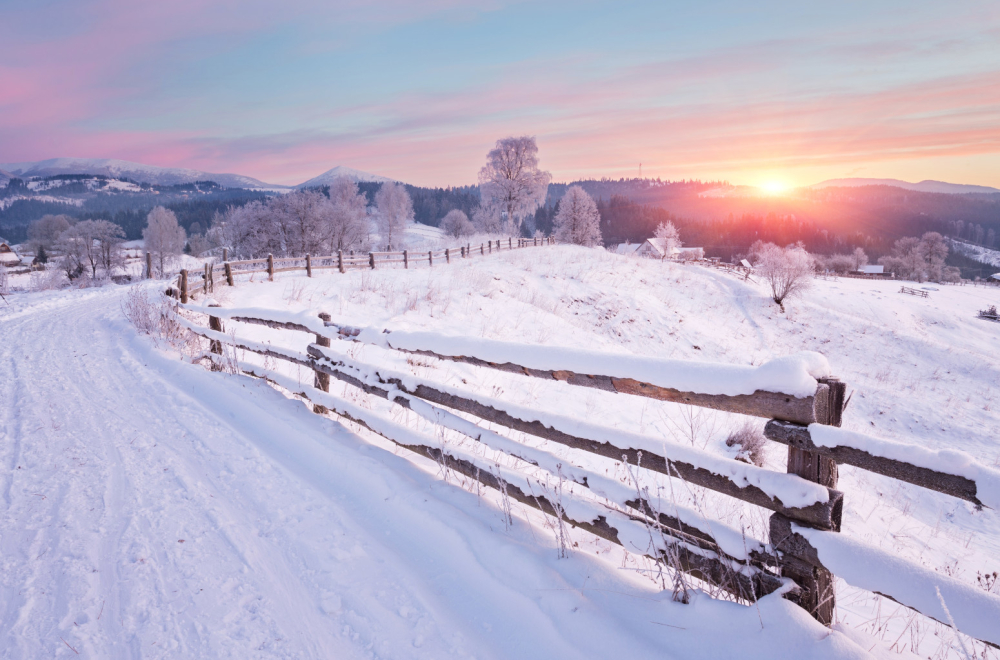 Polar Vortex approaches: Coldest winter in the last 40 years?