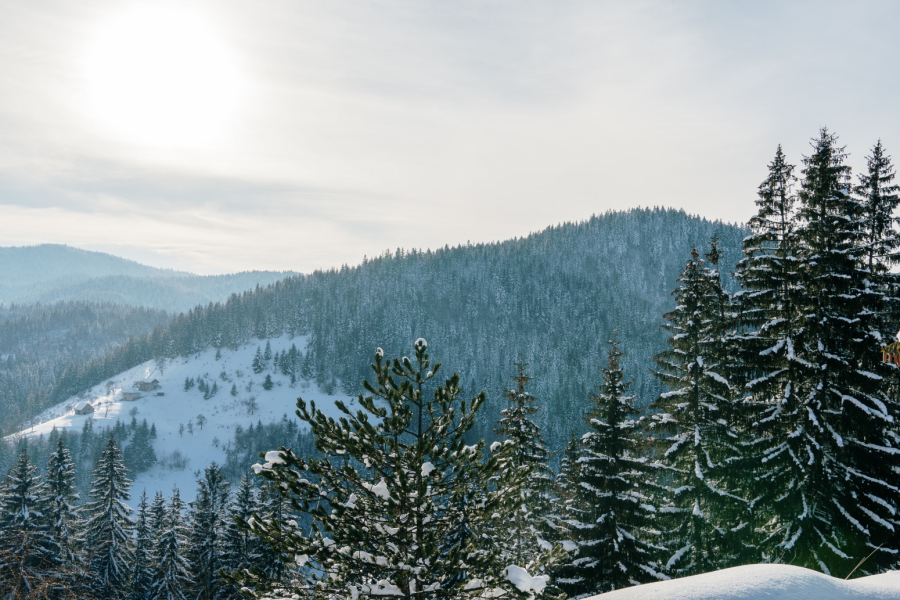 Skijanje u Srbiji najpopularnije na ovim planinama: Evo kada počinje sezona FOTO