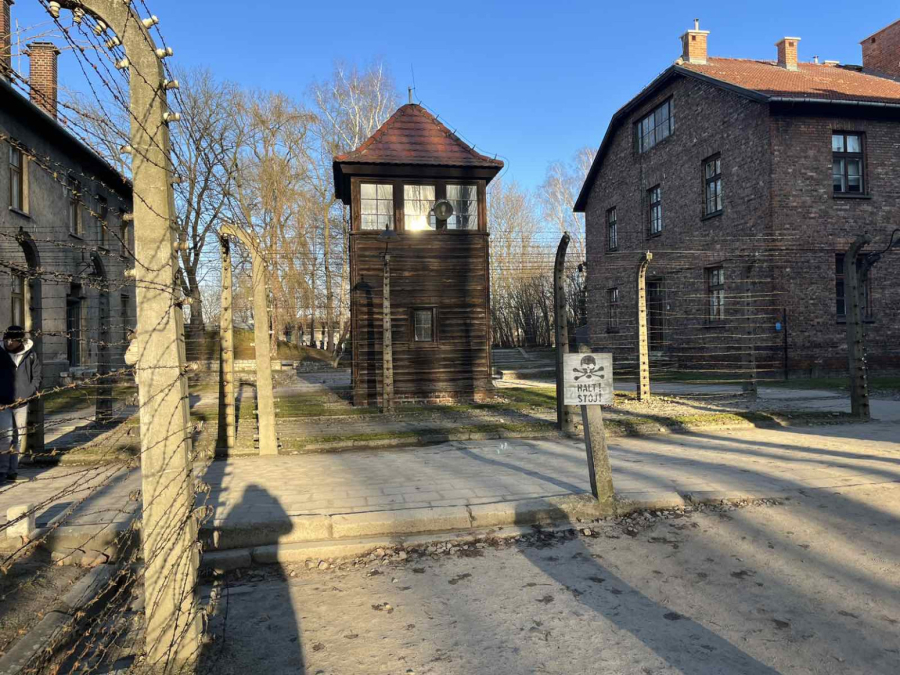 Pilule za kontracepciju – zaostavština nacista iz Aušvica