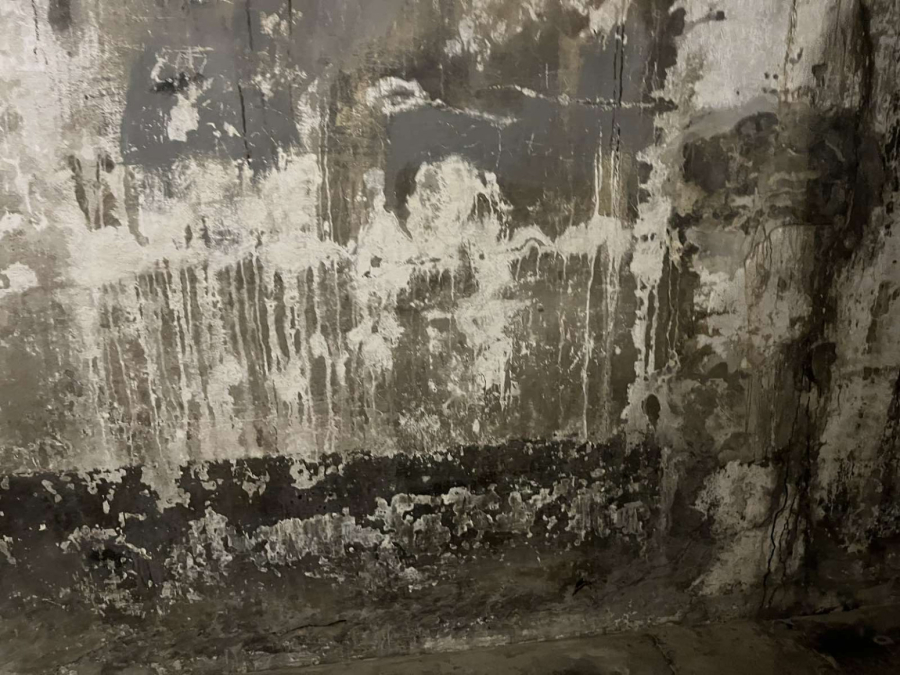 Aušvic, mesto posle kojeg svet više nikad nije izgledao isto FOTO