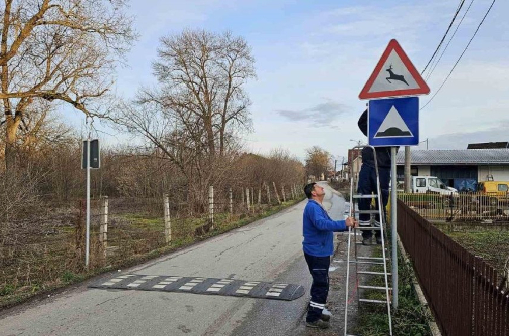 Srne se odomaćile u čačanskoj staroj kasarni: Reagovalo nadležno gradsko preduzeće FOTO