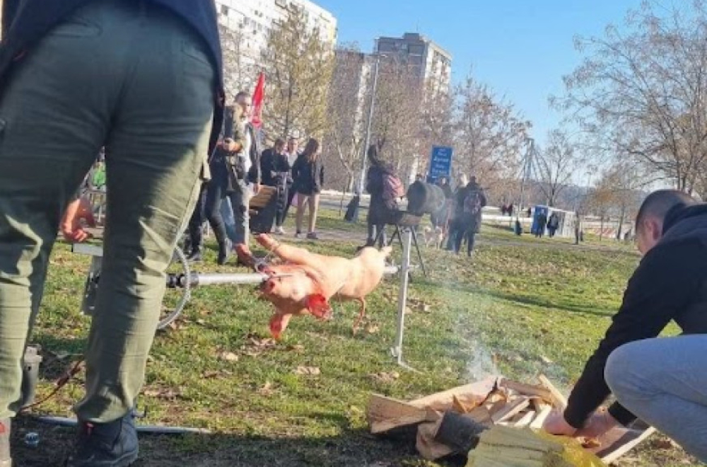 Studenti odaju poštu nastradalima uz – prase na ražnju i trubače FOTO/VIDEO