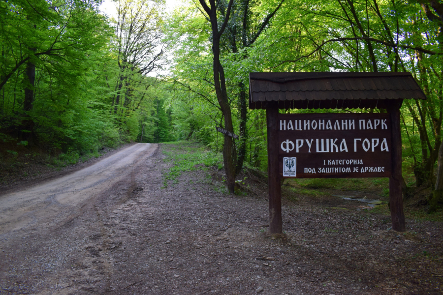 Nakon Zlatibora i Kopaonika najviše Srba ide na ovu planinu FOTO