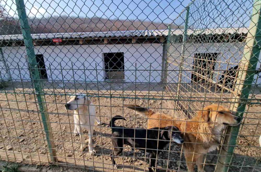 Privode se kraju radovi: Grad izdvojio više od 8 miliona za izgradnju azila