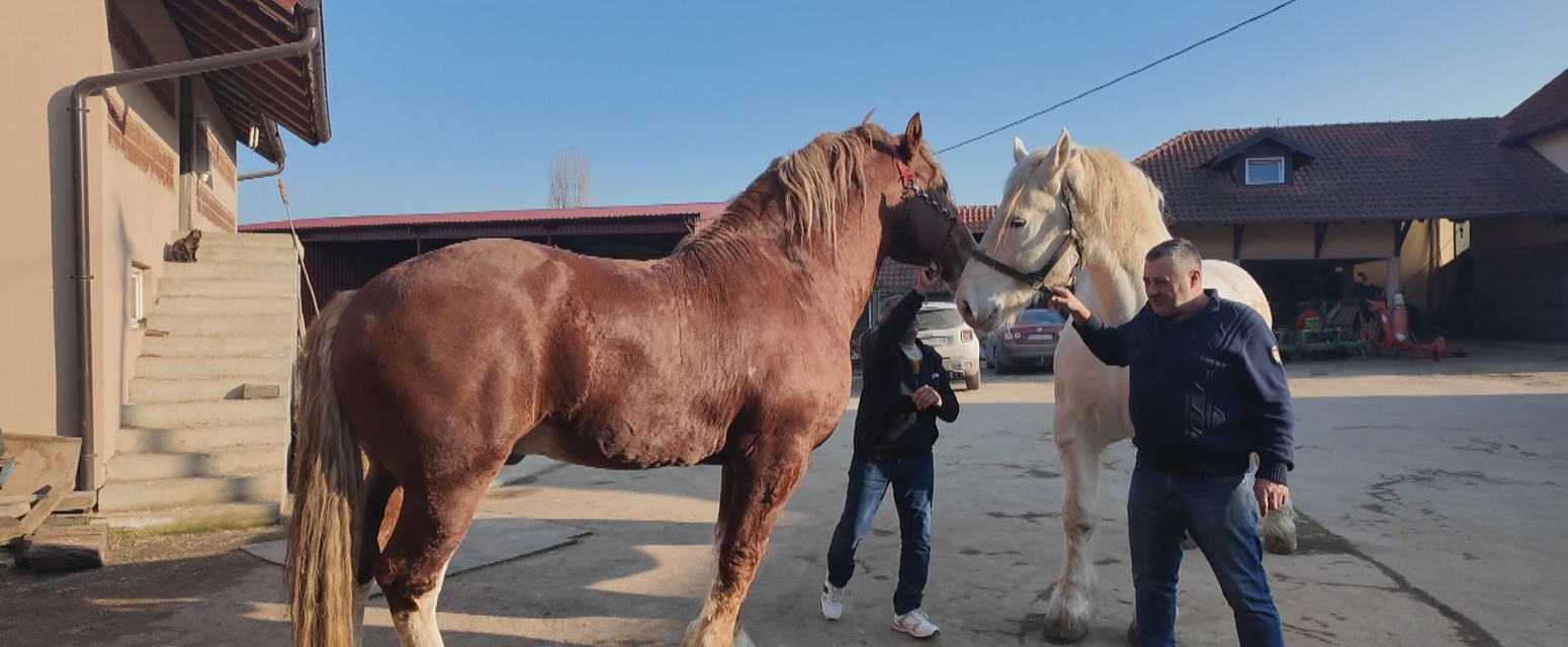 Nekada rabadžija, a sada veliki gazda: Kod Sime zbog ovoga dolazi ceo Balkan FOTO