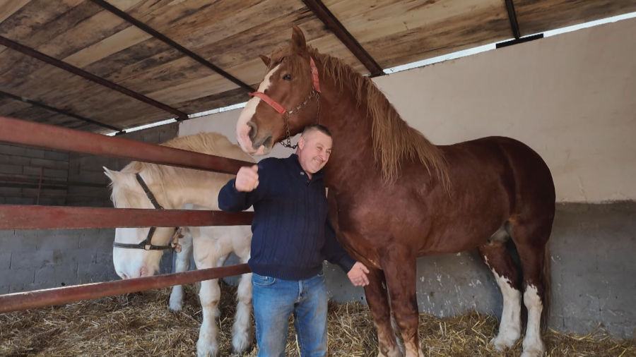 Nekada rabadžija, a sada veliki gazda: Kod Sime zbog ovoga dolazi ceo Balkan FOTO