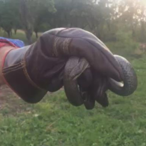 Užas usred zime: Zmije se pojavile u kući u selu pored Čačka