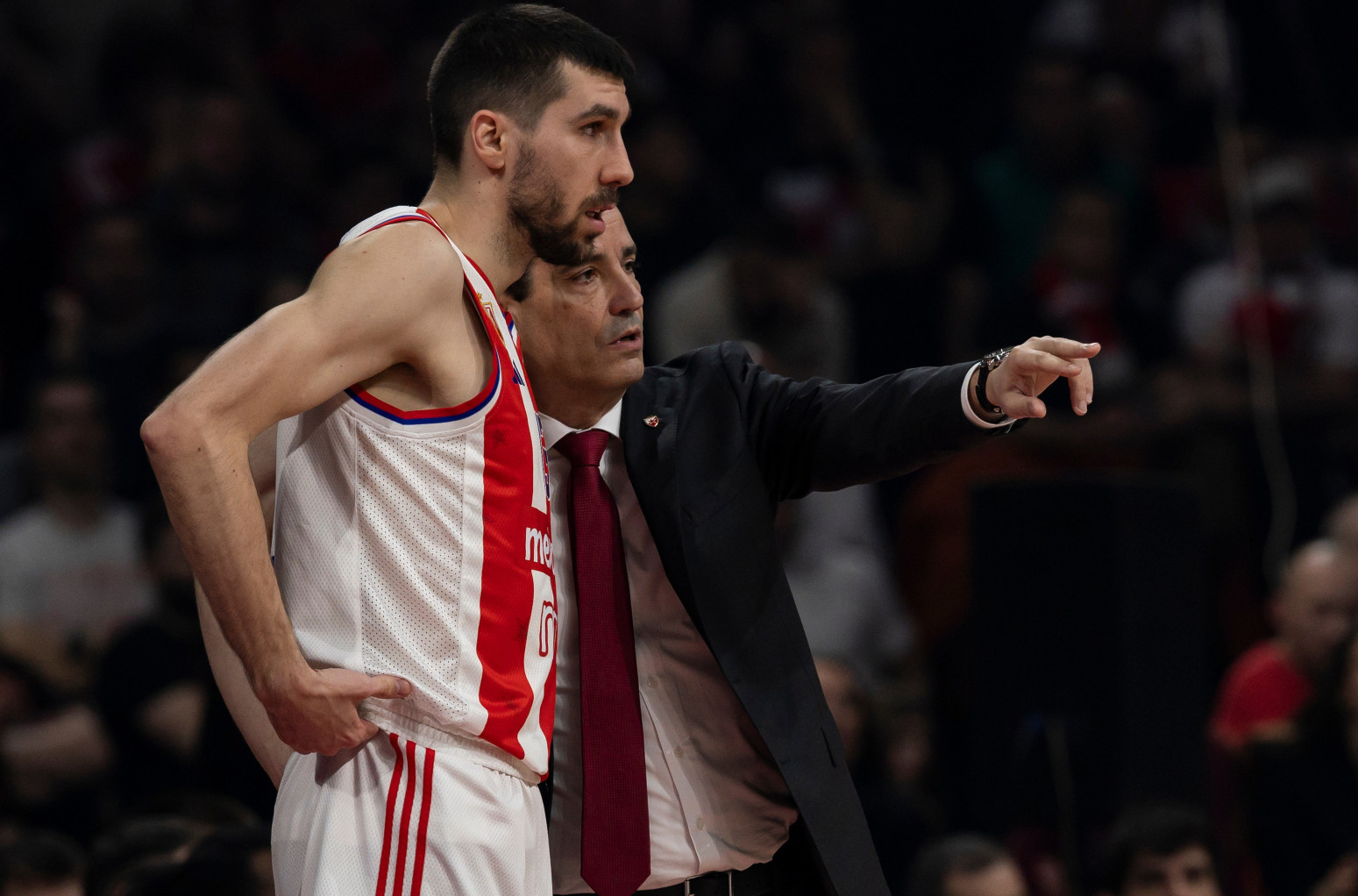Zvezda igra meč koji mora da dobije VIDEO