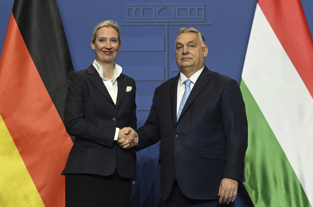 Pljušte čestitke za AfD: Merca preskaču