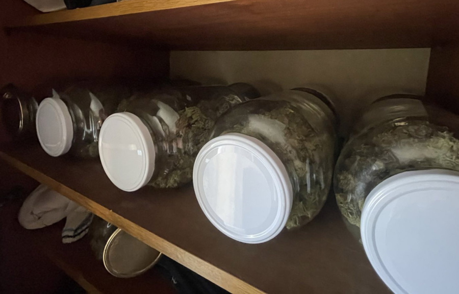 Pronađena velika laboratorija za uzgoj marihuane kod Kruševca FOTO