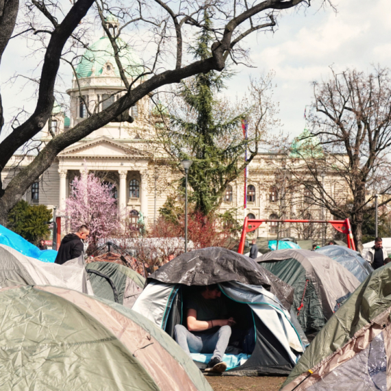 Studenti koji žele da uče: Krivična prijava protiv dekanke Ekonomskog fakulteta; Ostajemo u Pionirskom parku