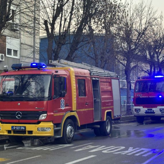 Požar u Zemunu: Crni dim kulja na sve strane, vatrogasci na terenu VIDEO