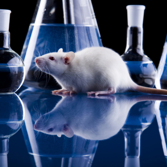 Jedno slovo u DNK menja pol kod miševa: Izraelski naučnici otkrivaju moć "tamne materije"