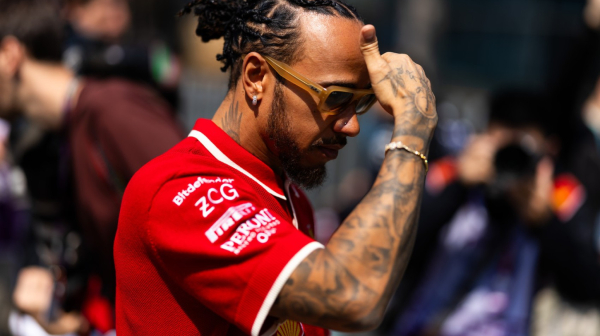 Hamilton: "Preterujete, ne pišete o Maksovom zlostavljanju" VIDEO