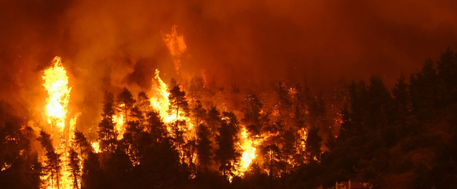 Buknuo požar kod Budve: Vatra zahvatila područje iznad stambenih kuća