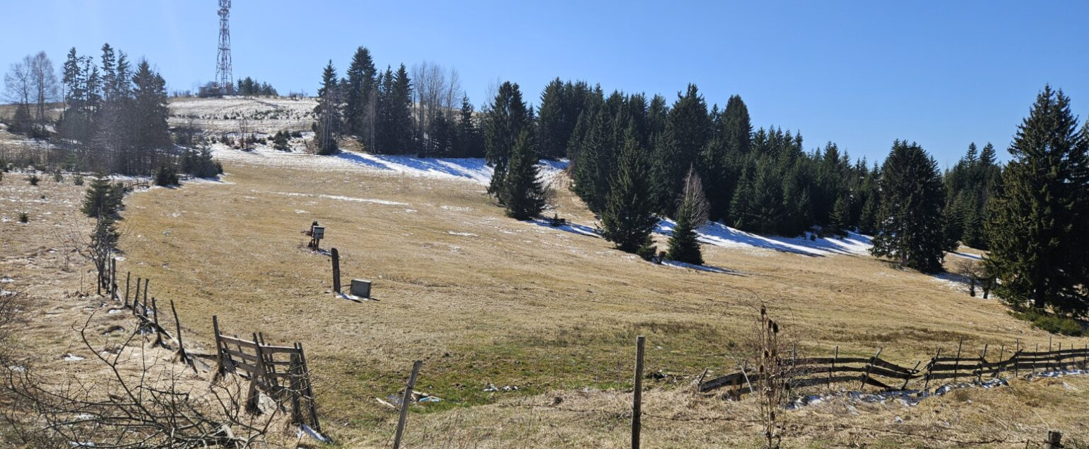 Od ruševina do turističke atrakcije: Ponovo će zasijati dragulj jugozapada Srbije FOTO