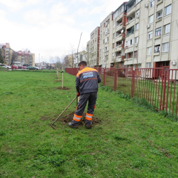 Kragujevčani u još jednoj uspešnoj akciji: Posadili više sadnica na tri lokacije FOTO