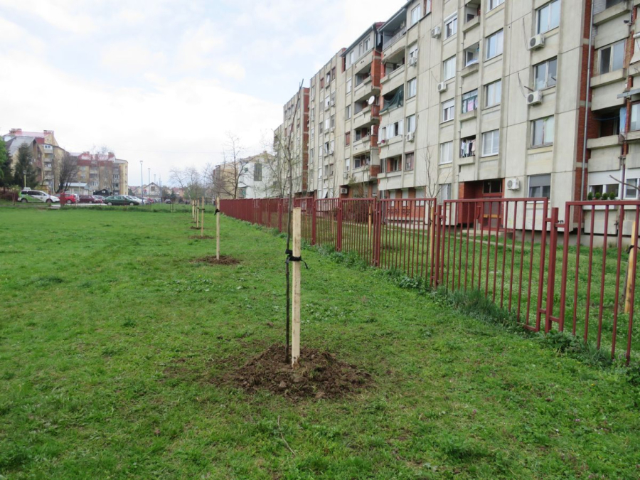 Kragujevčani u još jednoj uspešnoj akciji: Posadili više sadnica na tri lokacije FOTO