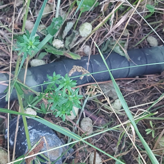 Pronađena bomba u Šumadiji