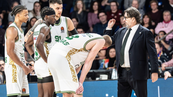 Žalgiris silan – 27/27