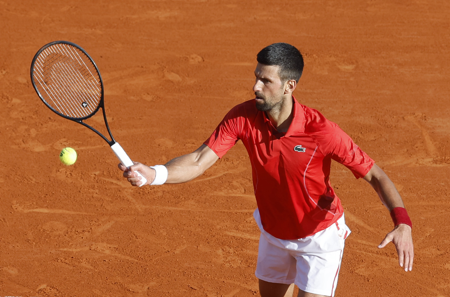 An easy ride for Djokovic till the semifinal... And then...