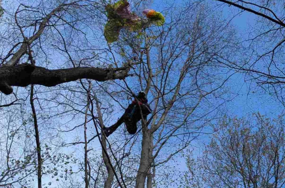 Drama na Fruškoj gori: Pripadnicima GSS stigao hitan poziv FOTO