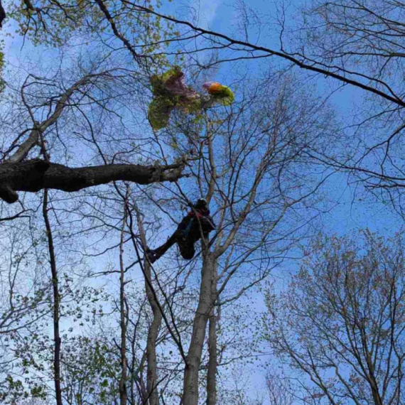 Drama na Fruškoj gori: Pripadnicima GSS stigao hitan poziv FOTO
