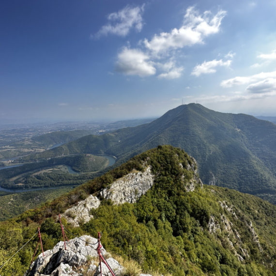 Kad sretnete medveda na planini...