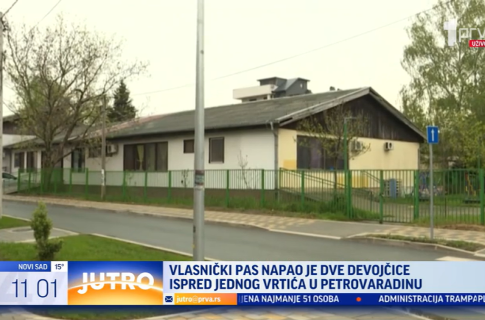 Užas u Novom Sadu: Vlasnički pas napao devojčice ispred vrtića; Poznato u kakvom su stanju VIDEO