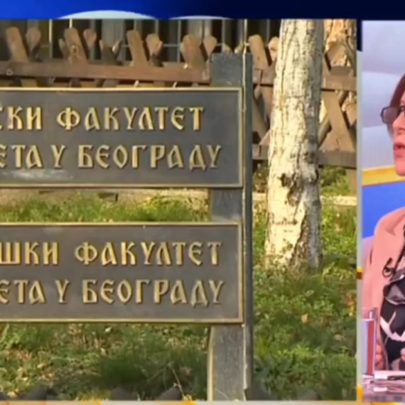 Profesorka Arsenijević: Licemerno kad studenti traže rad institucija, a sami ih uništavaju VIDEO