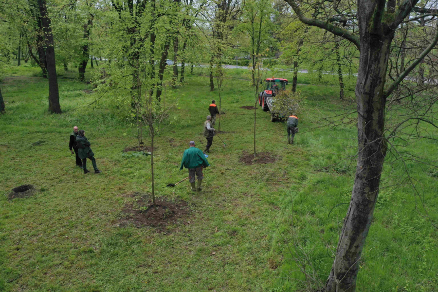 6.000 stabala za zdraviju Srbiju - MaxBet obeležio Dan planete sadnjom šuma
