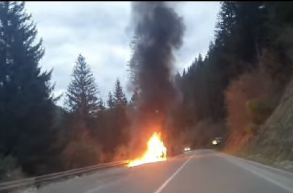 Zapalio se auto u pokretu kod Nove Varoši; "Vatrom zahvaćen i put" VIDEO