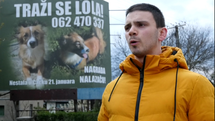 Dirljiva priča o ljubavi čoveka i psa: Čačanin zakupio bilbord kako bi našao svoju Lolu