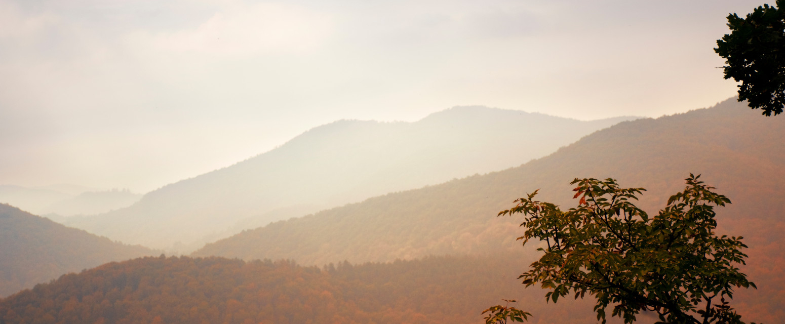 Ova planina u Srbiji je nepravedno zapostavljena: Netaknuta priroda savršena za odmor