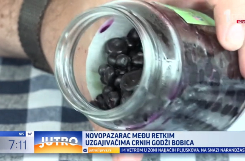 Novopazarac među retkim uzgajivačima godži bobica VIDEO