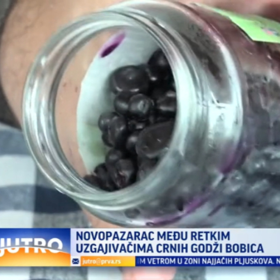 Novopazarac među retkim uzgajivačima godži bobica VIDEO