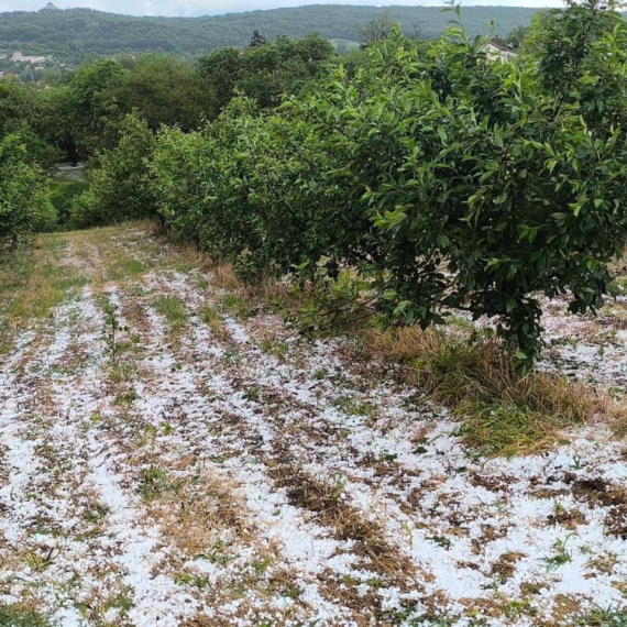 Katastrofa širom cele Srbije – objavljeni snimci; Tutnji: Uništen automobil, blokiran saobraćaj FOTO/VIDEO