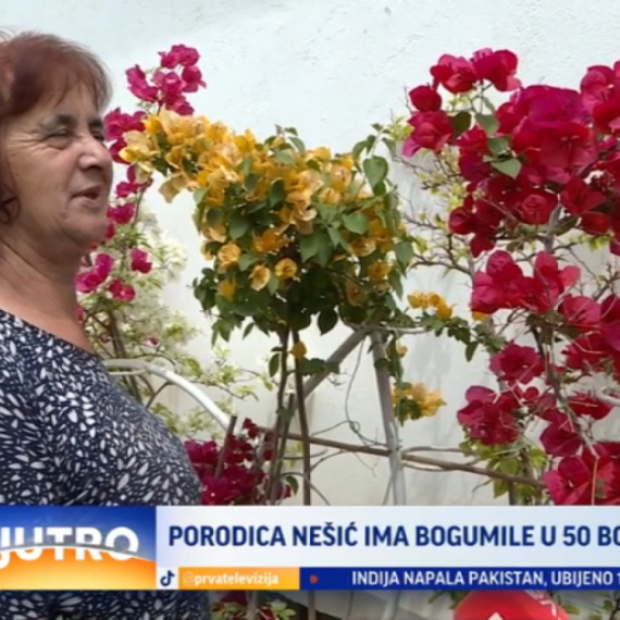 Leskovačka porodica ima bogumile u 50 boja VIDEO