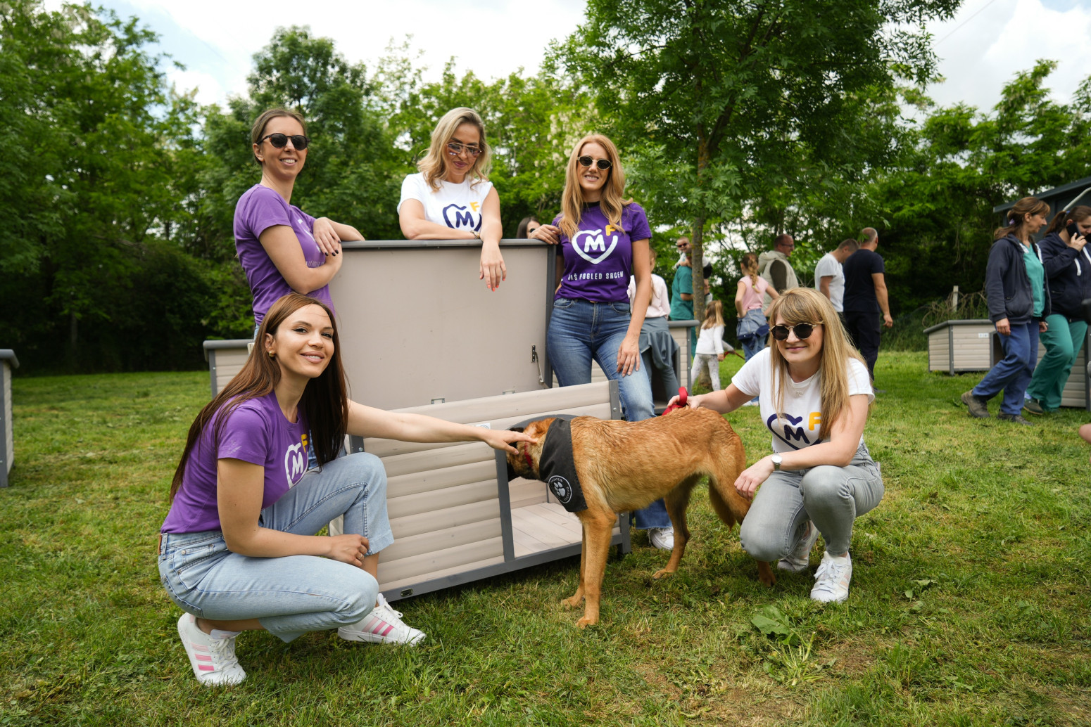 Pomoć prijatelja za četvoronožne prijatelje: Fondacija Mozzart donirala kućice za pse prihvatilištima JKP VET