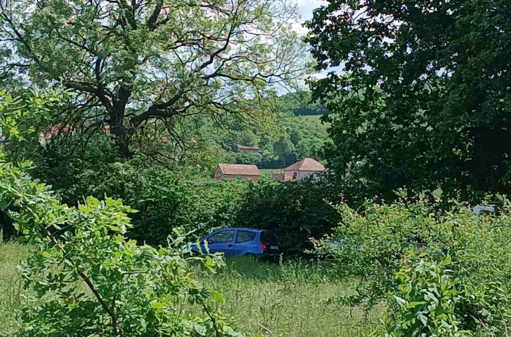 Određeno zadržavanje osumnjičenom za ubistvo bivše supruge u Kragujevcu