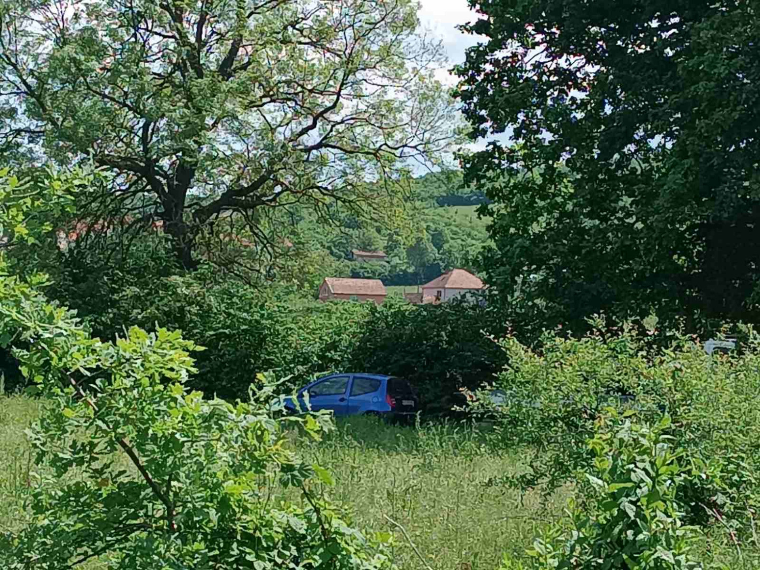 Užas u Kragujevcu: Muškarac ubio bivšu suprugu; Telo pronađeno na njivi FOTO