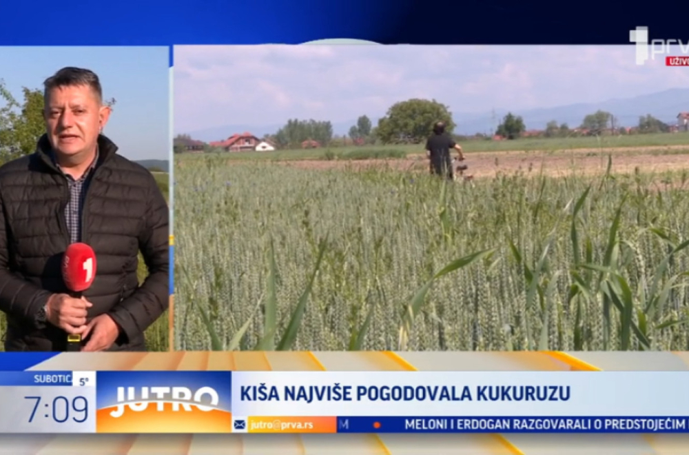 Kiša obradovala poljoprivrednike u Leskovcu VIDEO