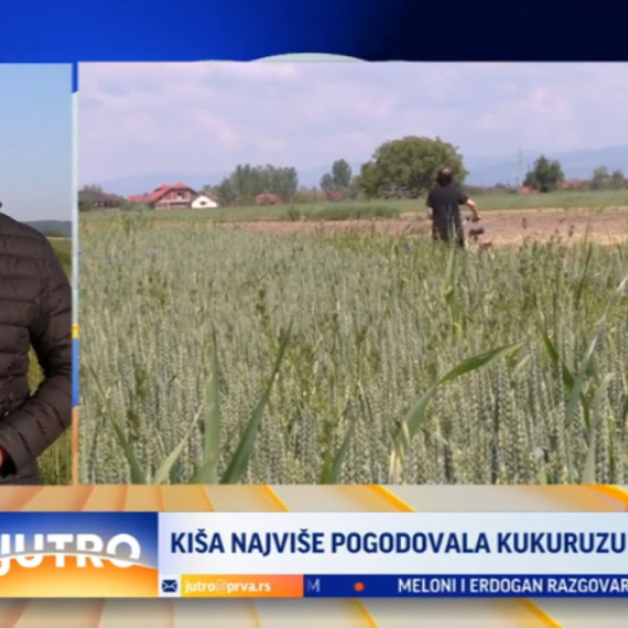 Kiša obradovala poljoprivrednike u Leskovcu VIDEO