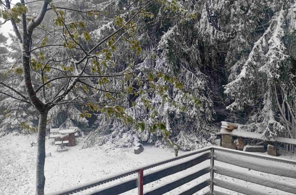 Zabelela se Srbija u maju FOTO/VIDEO